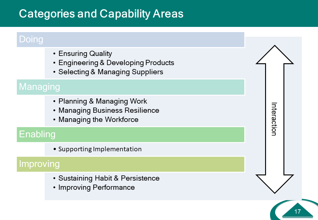 Categories and Capability Areas